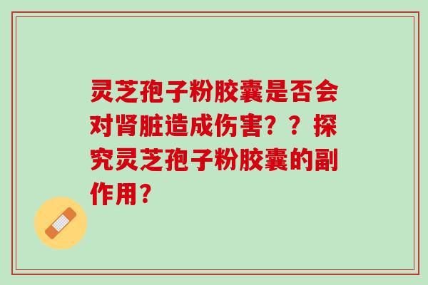灵芝孢子粉胶囊是否会对肾脏造成伤害？？探究灵芝孢子粉胶囊的副作用？