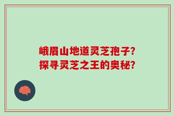 峨眉山地道灵芝孢子?探寻灵芝之王的奥秘? 峨眉山地道灵芝孢子?探寻灵芝之王的奥秘?