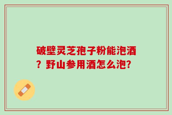 破壁灵芝孢子粉能泡酒?野山参用酒怎么泡? 破壁灵芝孢子粉能泡酒?野山参用酒怎么泡?