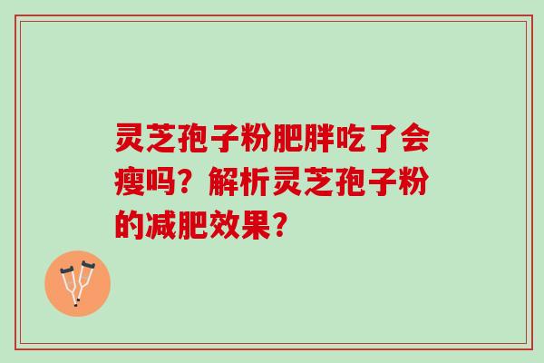 灵芝孢子粉肥胖吃了会瘦吗？解析灵芝孢子粉的减肥效果？