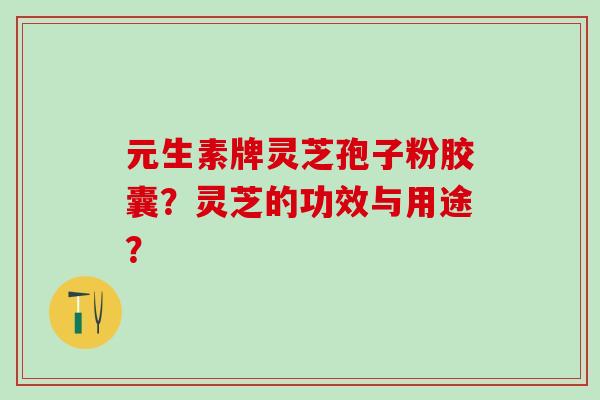 元生素牌灵芝孢子粉胶囊?灵芝的功效与用途? 元生素牌灵芝孢子粉胶囊?灵芝的功效与用途?