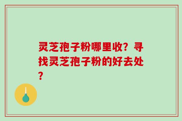 灵芝孢子粉哪里收?寻找灵芝孢子粉的好去处? 灵芝孢子粉哪里收?寻找灵芝孢子粉的好去处?