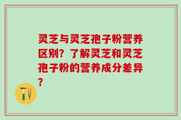 灵芝与灵芝孢子粉营养区别？了解灵芝和灵芝孢子粉的营养成分差异？