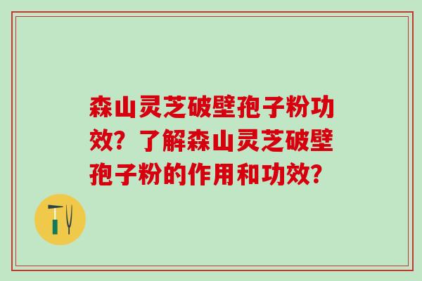 森山灵芝破壁孢子粉功效？了解森山灵芝破壁孢子粉的作用和功效？