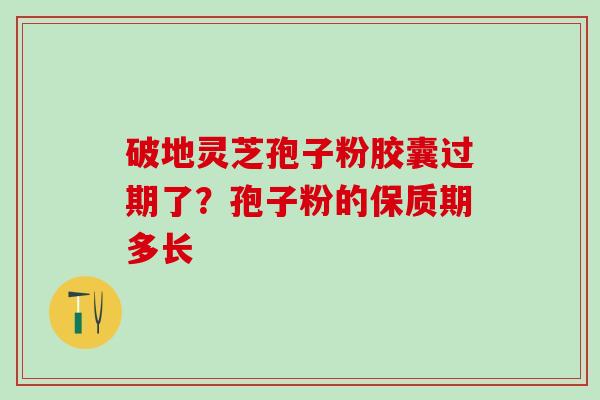 破地灵芝孢子粉胶囊过期了？孢子粉的保质期多长