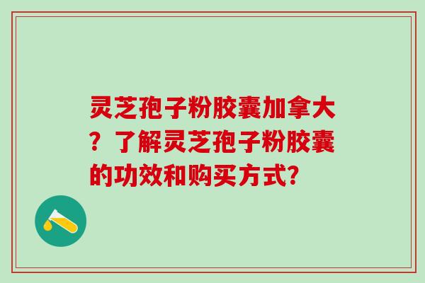灵芝孢子粉胶囊加拿大？了解灵芝孢子粉胶囊的功效和购买方式？