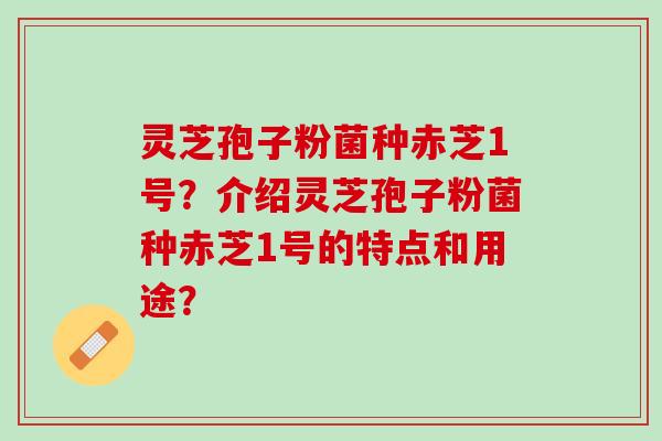 灵芝孢子粉菌种赤芝1号?介绍灵芝孢子粉菌种赤芝1号的特点和用途? 灵芝孢子粉菌种赤芝1号?介绍灵芝孢子粉菌种赤芝1号的特点和用途?