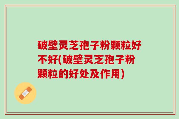 破壁灵芝孢子粉颗粒好不好(破壁灵芝孢子粉颗粒的好处及作用)