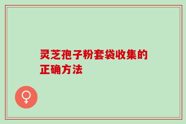 灵芝孢子粉套袋收集的正确方法