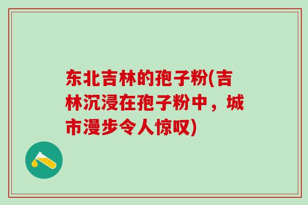 东北吉林的孢子粉(吉林沉浸在孢子粉中，城市漫步令人惊叹)