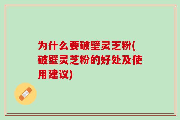 为什么要破壁灵芝粉(破壁灵芝粉的好处及使用建议)