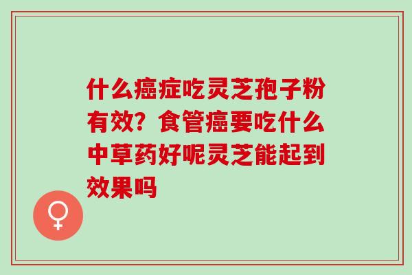 什么症吃灵芝孢子粉有效?食管要吃什么中草药好呢灵芝能起到效果吗 什么症吃灵芝孢子粉有效?食管要吃什么中草药好呢灵芝能起到效果吗