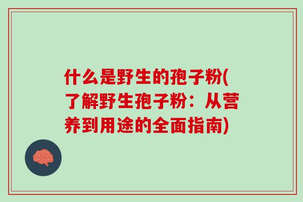 什么是野生的孢子粉(了解野生孢子粉:从营养到用途的全面指南) 什么是野生的孢子粉(了解野生孢子粉:从营养到用途的全面指南)