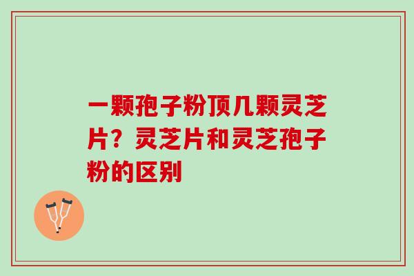一颗孢子粉顶几颗灵芝片？灵芝片和灵芝孢子粉的区别