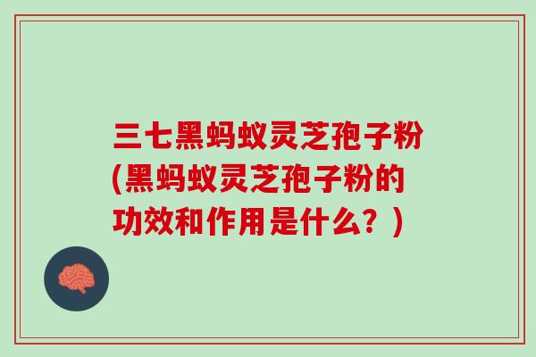 三七黑蚂蚁灵芝孢子粉(黑蚂蚁灵芝孢子粉的功效和作用是什么？)