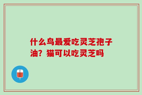 什么鸟爱吃灵芝孢子油？猫可以吃灵芝吗