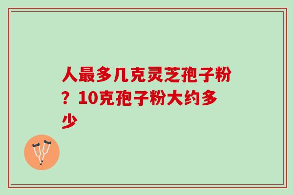 人最多几克灵芝孢子粉？10克孢子粉大约多少
