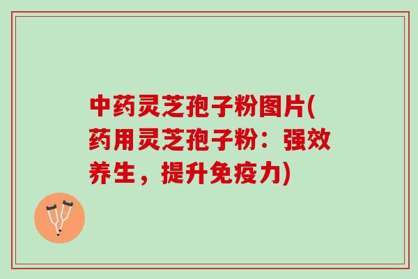 中药灵芝孢子粉图片(药用灵芝孢子粉：强效养生，提升免疫力)