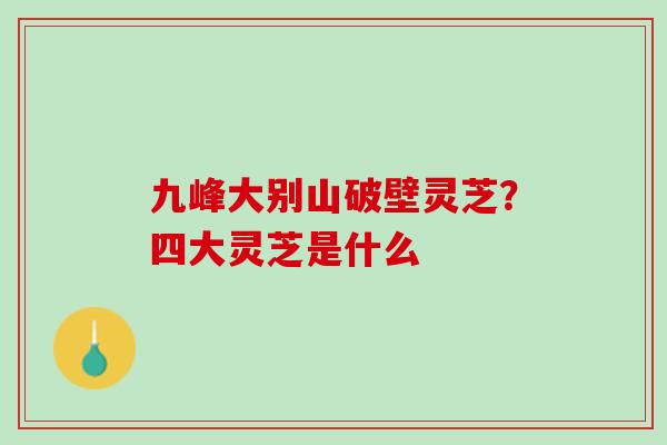 九峰大别山破壁灵芝？四大灵芝是什么