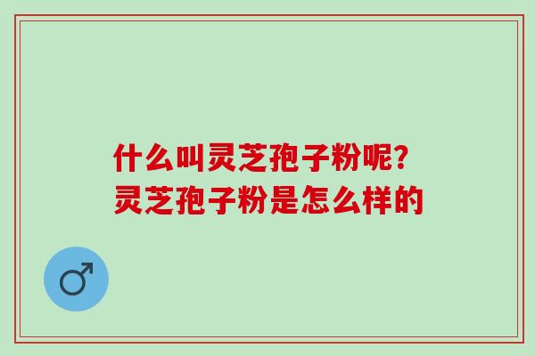 什么叫灵芝孢子粉呢？灵芝孢子粉是怎么样的