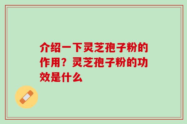 介绍一下灵芝孢子粉的作用？灵芝孢子粉的功效是什么
