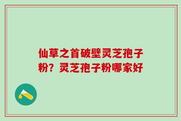 仙草之首破壁灵芝孢子粉？灵芝孢子粉哪家好