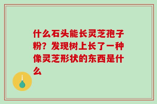 什么石头能长灵芝孢子粉?发现树上长了一种像灵芝形状的东西是什么 什么石头能长灵芝孢子粉?发现树上长了一种像灵芝形状的东西是什么