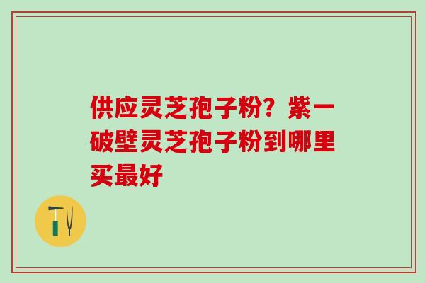 供应灵芝孢子粉？紫一破壁灵芝孢子粉到哪里买最好