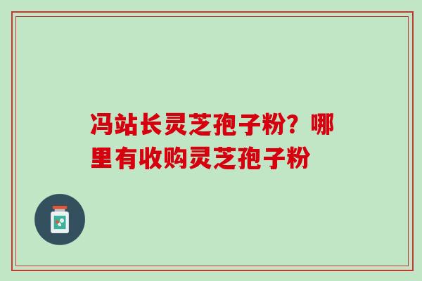冯站长灵芝孢子粉？哪里有收购灵芝孢子粉