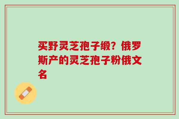 买野灵芝孢子缎?俄罗斯产的灵芝孢子粉俄文名 买野灵芝孢子缎?俄罗斯产的灵芝孢子粉俄文名