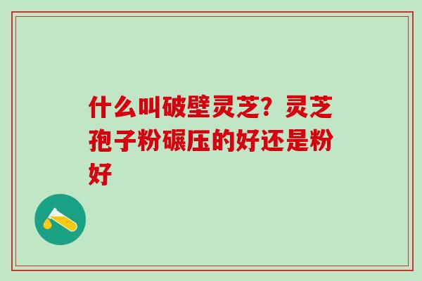 什么叫破壁灵芝?灵芝孢子粉碾压的好还是粉好 什么叫破壁灵芝?灵芝孢子粉碾压的好还是粉好