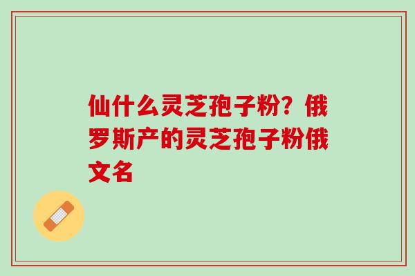 仙什么灵芝孢子粉?俄罗斯产的灵芝孢子粉俄文名 仙什么灵芝孢子粉?俄罗斯产的灵芝孢子粉俄文名