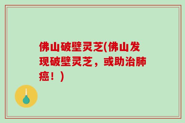 佛山破壁灵芝(佛山发现破壁灵芝,或助!) 佛山破壁灵芝(佛山发现破壁灵芝,或助!)