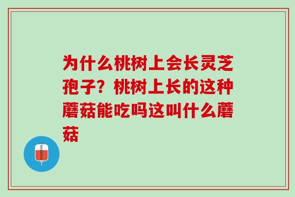 为什么桃树上会长灵芝孢子?桃树上长的这种蘑菇能吃吗这叫什么蘑菇 为什么桃树上会长灵芝孢子?桃树上长的这种蘑菇能吃吗这叫什么蘑菇