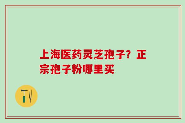 上海医药灵芝孢子?正宗孢子粉哪里买 上海医药灵芝孢子?正宗孢子粉哪里买