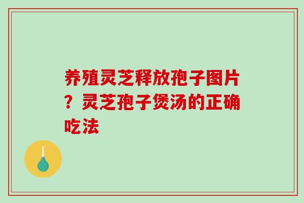 养殖灵芝释放孢子图片?灵芝孢子煲汤的正确吃法 养殖灵芝释放孢子图片?灵芝孢子煲汤的正确吃法