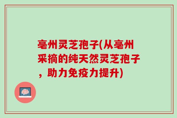 亳州灵芝孢子(从亳州采摘的纯天然灵芝孢子,助力免疫力提升) 亳州灵芝孢子(从亳州采摘的纯天然灵芝孢子,助力免疫力提升)