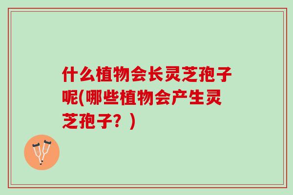 什么植物会长灵芝孢子呢(哪些植物会产生灵芝孢子？)