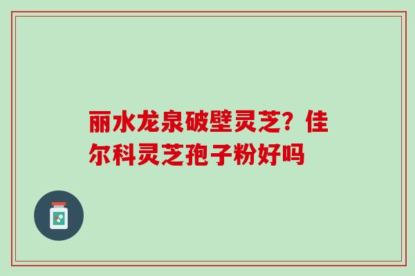 丽水龙泉破壁灵芝？佳尔科灵芝孢子粉好吗