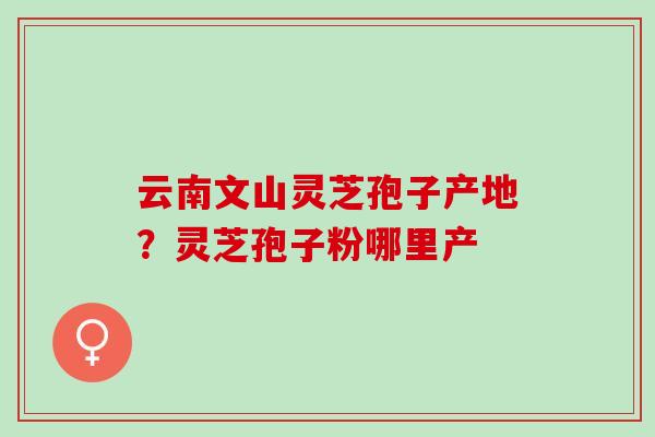 云南文山灵芝孢子产地？灵芝孢子粉哪里产