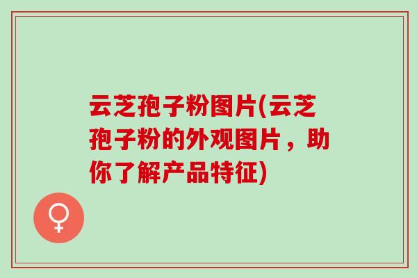 云芝孢子粉图片(云芝孢子粉的外观图片，助你了解产品特征)