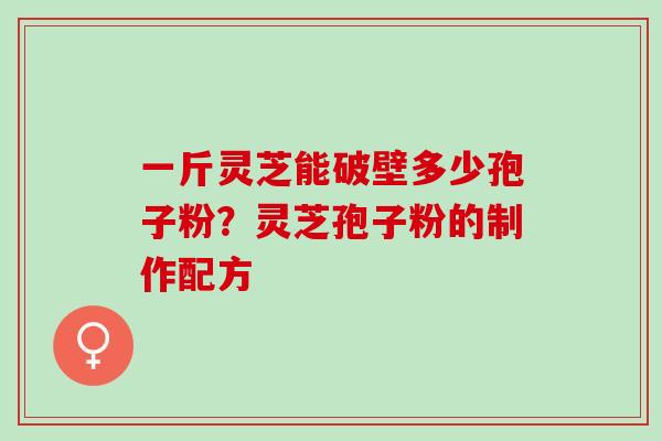 一斤灵芝能破壁多少孢子粉？灵芝孢子粉的制作配方