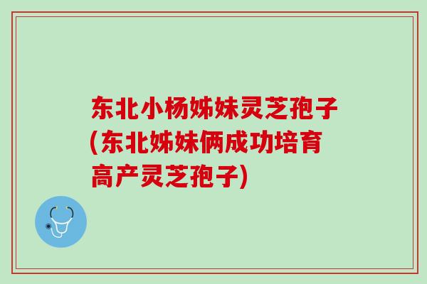 东北小杨姊妹灵芝孢子(东北姊妹俩成功培育高产灵芝孢子)