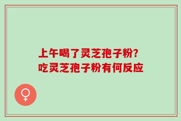 上午喝了灵芝孢子粉?吃灵芝孢子粉有何反应 上午喝了灵芝孢子粉?吃灵芝孢子粉有何反应