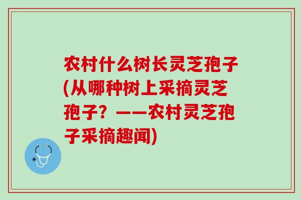 农村什么树长灵芝孢子(从哪种树上采摘灵芝孢子？——农村灵芝孢子采摘趣闻)