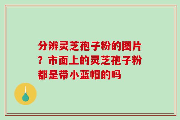 分辨灵芝孢子粉的图片？市面上的灵芝孢子粉都是带小蓝帽的吗