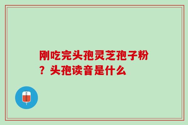 刚吃完头孢灵芝孢子粉？头孢读音是什么