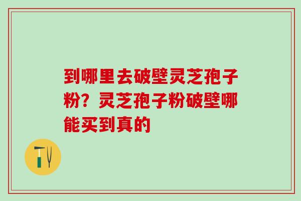 到哪里去破壁灵芝孢子粉？灵芝孢子粉破壁哪能买到真的