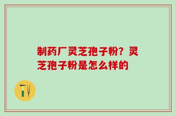 制药厂灵芝孢子粉？灵芝孢子粉是怎么样的
