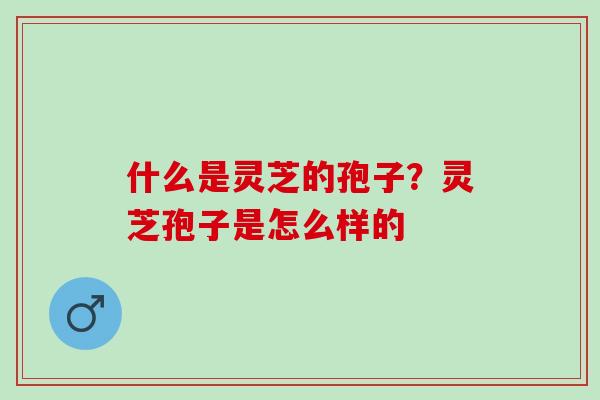 什么是灵芝的孢子?灵芝孢子是怎么样的 什么是灵芝的孢子?灵芝孢子是怎么样的